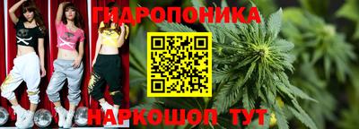 прущие крисы Партизанск