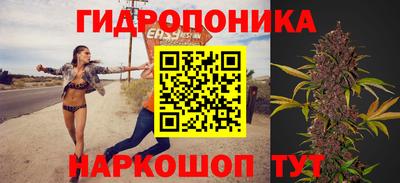 прущие крисы Партизанск