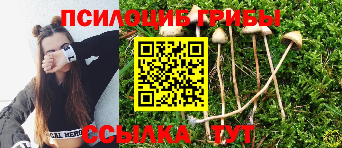 Псилоцибиновые грибы GOLDEN TEACHER  Вход с VPN  Тамбов 