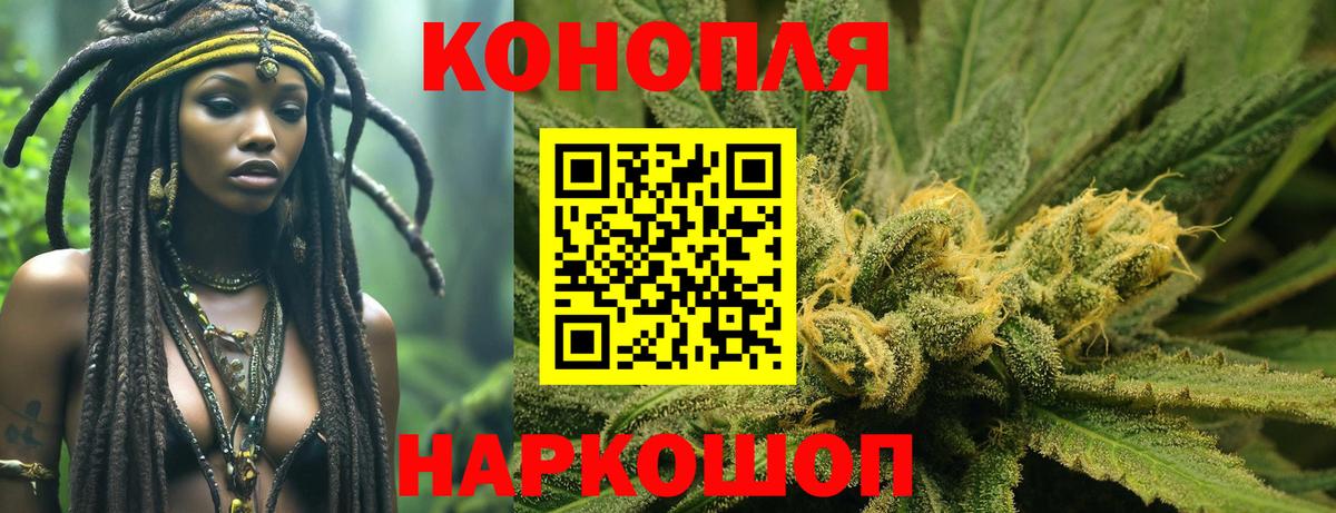 Канабис конопля  Вход с VPN  Тамбов  Бошки марихуана сатива 